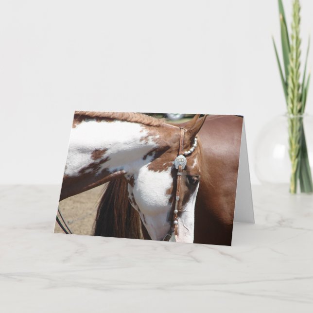 Pinto Western Pferd Karte (Vorderseite)