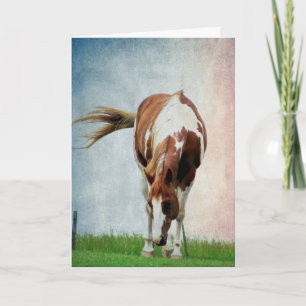 Pintopferd, Alles Gute Zum Geburtstag Karte