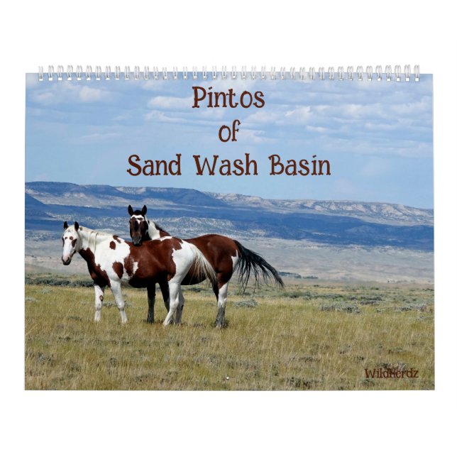 Pintos of Sand Wash Becken Calendar Kalender (Titelbild)