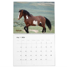 Pintos of Sand Wash Becken Calendar Kalender