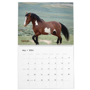 Pintos of Sand Wash Becken Calendar Kalender