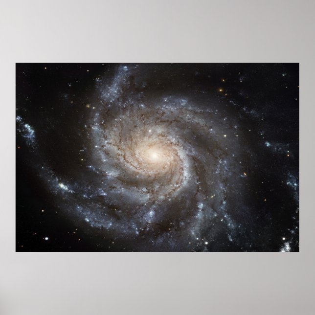 Pinwheel Galaxy M101 78x52 (57x38) Poster (Vorne)