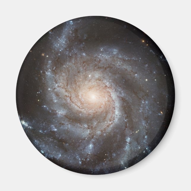 Pinwheel Galaxy Magnet (Vorne)