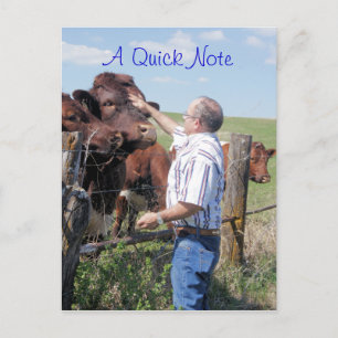 Pinzgauer Bull & Kühe - anpassen Postkarte