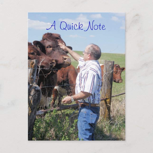 Pinzgauer Bull & Kühe - anpassen Postkarte (Vorderseite)