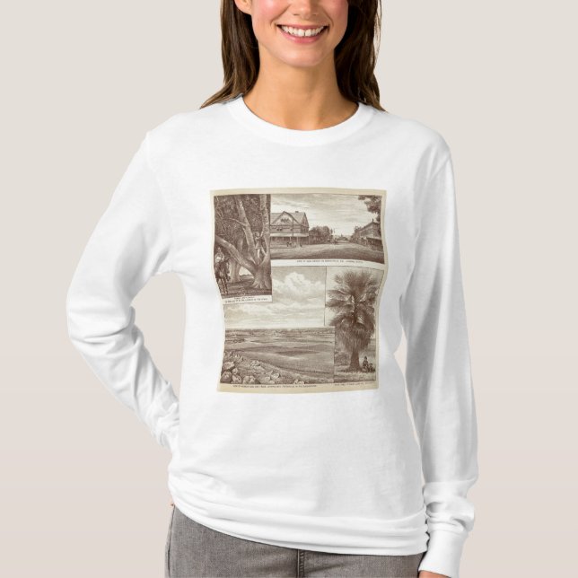 Pionierfläche des landes Co, Porterville T-Shirt (Vorderseite)