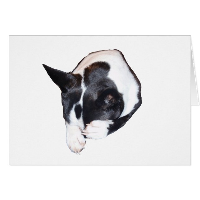 Piper - Schlafen (Vorderseite (Horizontal))