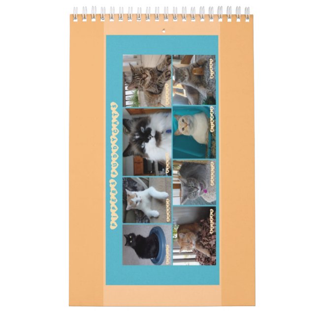 PipersPuddycats 2020 Kalender (Titelbild)