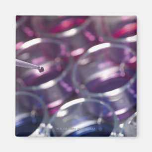 Pipette und Petri-Geschirr mit Flüssigkeiten Magnet