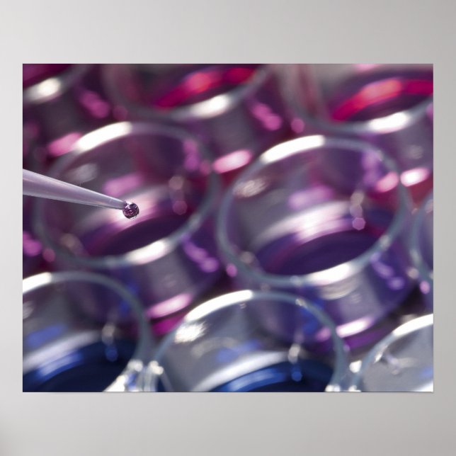 Pipetten- und Petrischale-Geschirr mit Flüssigkeit Poster (Vorne)