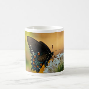 Pipevine Frack Butterfly Kaffeetasse