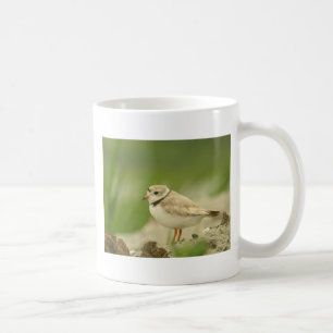 Pipng Regenpfeifer Tasse