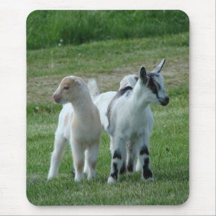 Pippi und Grau Mousepad