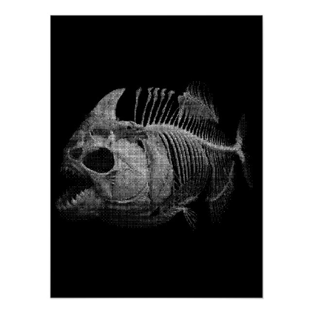 Piranha-Fisch-Skelett-Angler-Geschenk Poster (Vorderseite)