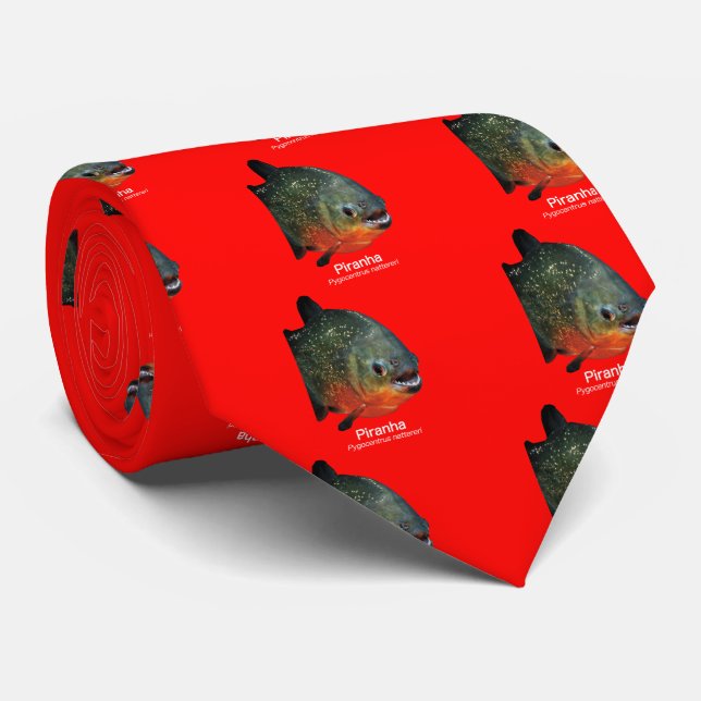 Piranha Krawatte (Gerollt)