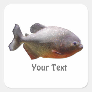 Piranha Südamerikanischer Fisch Quadratischer Aufkleber