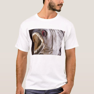 Piranhafische als Trophäe auf hölzernem T-Shirt