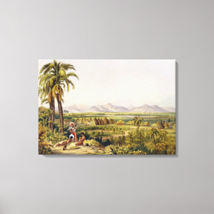 Pirara und Amucu-See, Die Website Eldorado, drucke