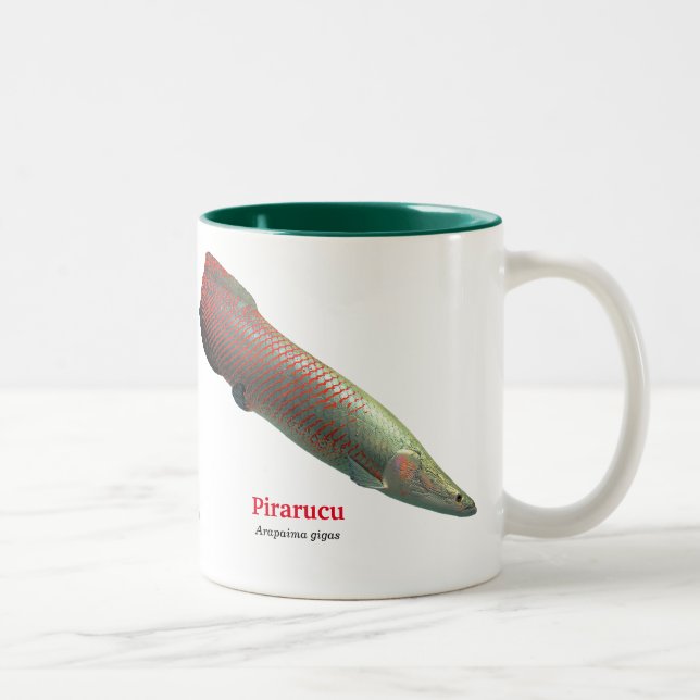 Pirarucu Zweifarbige Tasse (Rechts)
