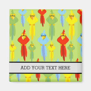 Pirat Parrot Bird Lovers Animals Navigatoren Magnet