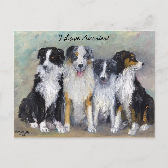 Pirat und Daughters - Australian Shepherds Postkarte (Vorderseite)
