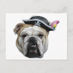 Pirate Bulldog Postkarte