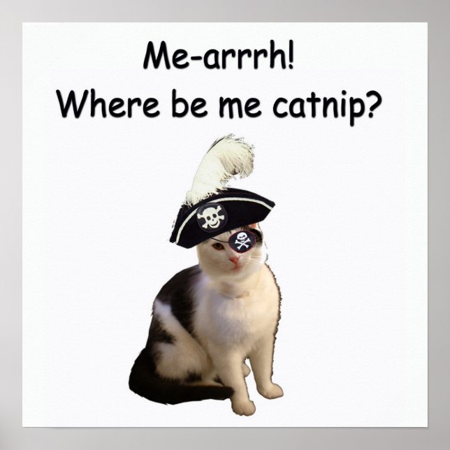Pirate Cat Poster (Vorne)