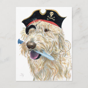 Pirate Cream Labradoodle Postkarte