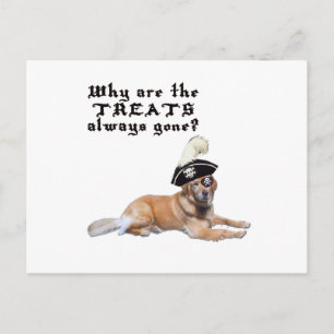 Pirate Hund Leckereien Postkarte