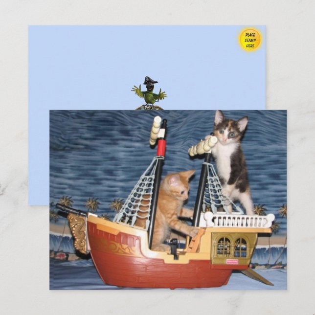 Pirate Kittens Postcard Postkarte (Vorne/Hinten)