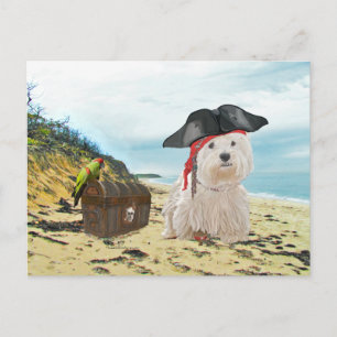 Pirate Westie Postkarte