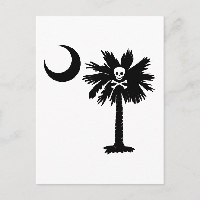 Piratenflagge Pirate Palmetto Postkarte (Vorderseite)