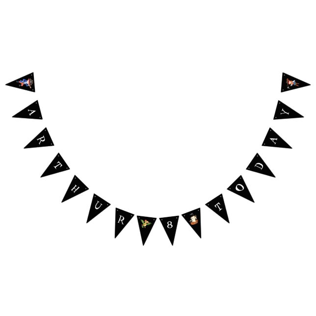 Piratengeburtmotiv Party Schatzpapagei Wimpelkette (Alle)