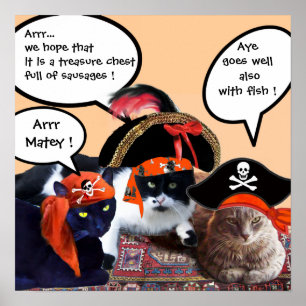 PIRATENKATZEN POSTER