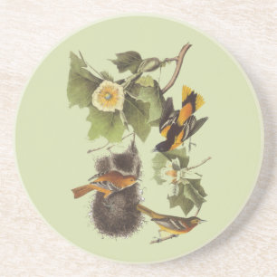 Pirol Audubon Vögel Vintage Kunst Untersetzer