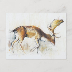 Pisanello Buck 2006 Postkarte