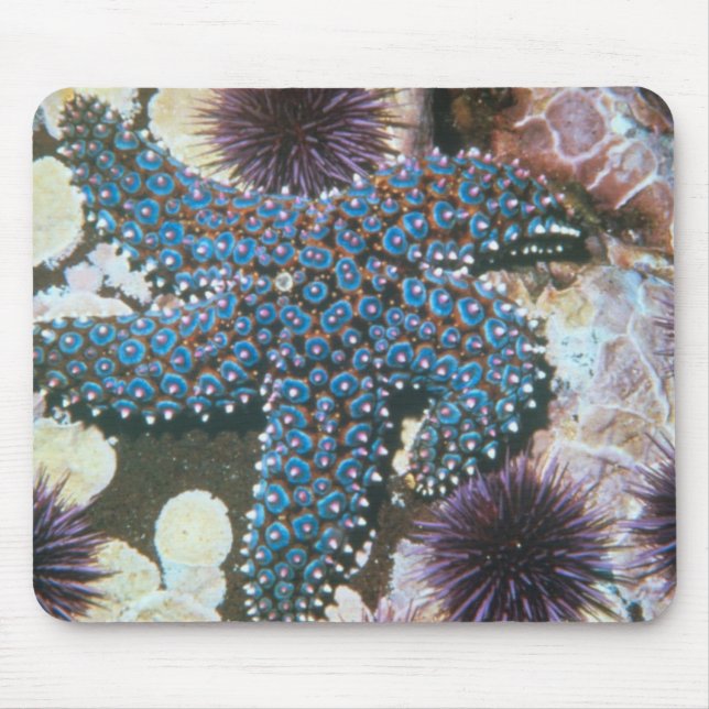 Pisaster Giganteus Starfish Mousepad (Vorne)