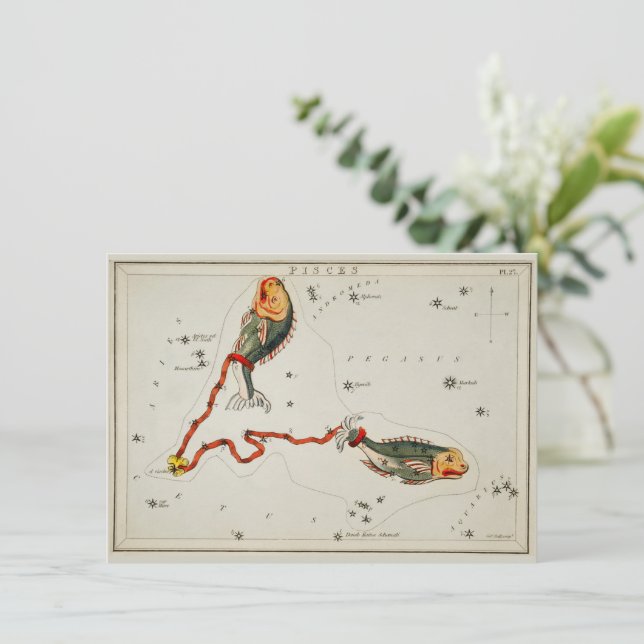 Pisces Astronomisches Sternzeichen Zodiac Geburtst Feiertagskarte (Stehend Vorderseite)