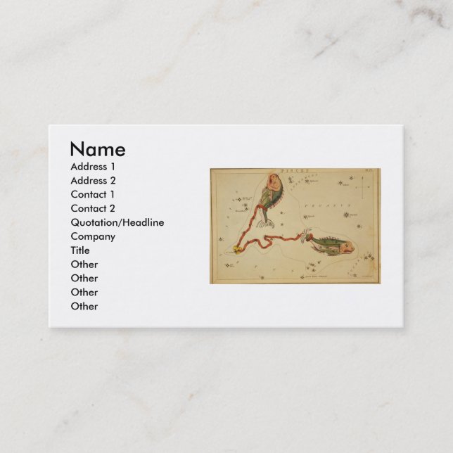 Pisces Business Card Visitenkarte (Vorderseite)