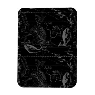 Pisces Constellation Hevelius 1690 auf Schwarz Magnet