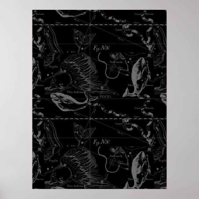 Pisces Constellation Hevelius 1690 auf Schwarz Poster (Vorne)