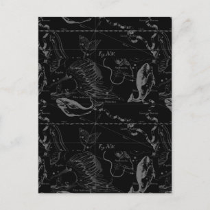 Pisces Constellation Hevelius 1690 auf Schwarz Postkarte