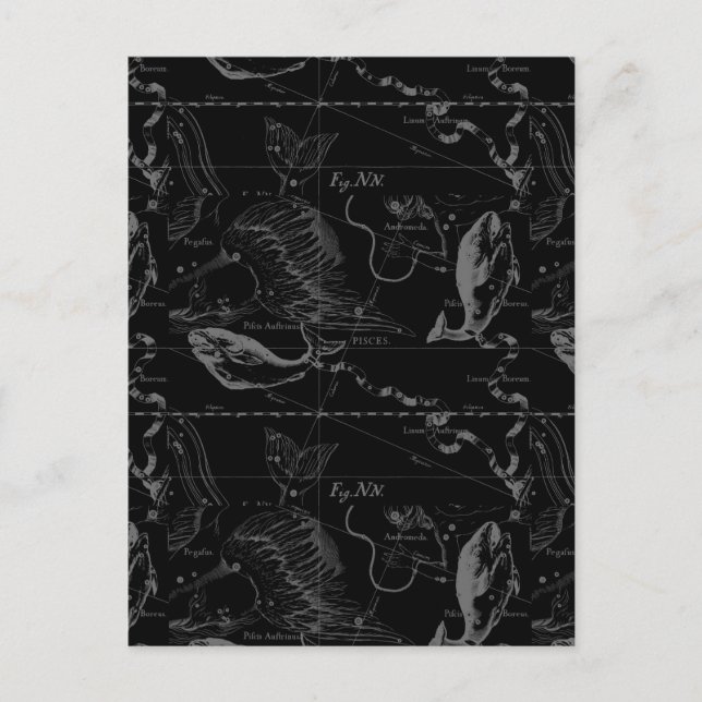 Pisces Constellation Hevelius 1690 auf Schwarz Postkarte (Vorderseite)