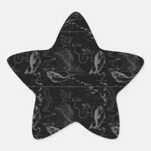 Pisces Constellation Hevelius 1690 on Black Stern-Aufkleber