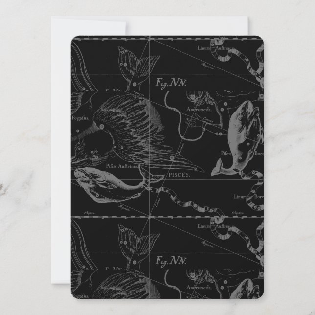 Pisces Constellation Map by Hevelius 1690 (Vorderseite)