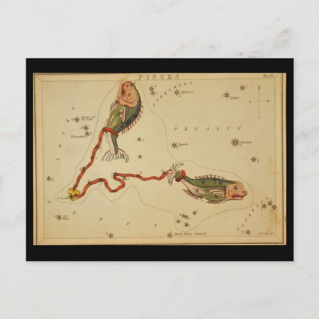Pisces Postcard Postkarte (Vorderseite)