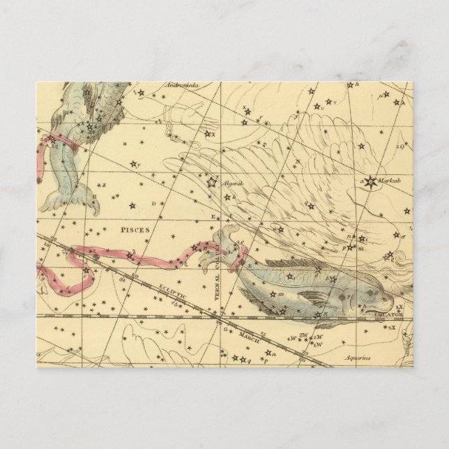 Pisces Postkarte (Vorderseite)