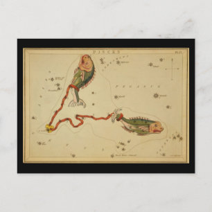 Pisces Postkarte
