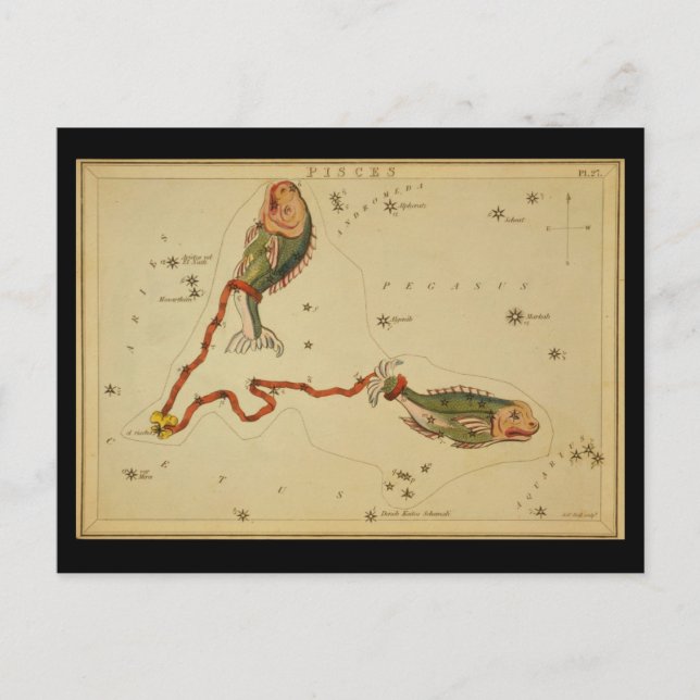 Pisces Postkarte (Vorderseite)