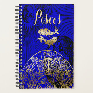 Pisces Symbol Astrologie Zodiac Sign Horoskop Planer